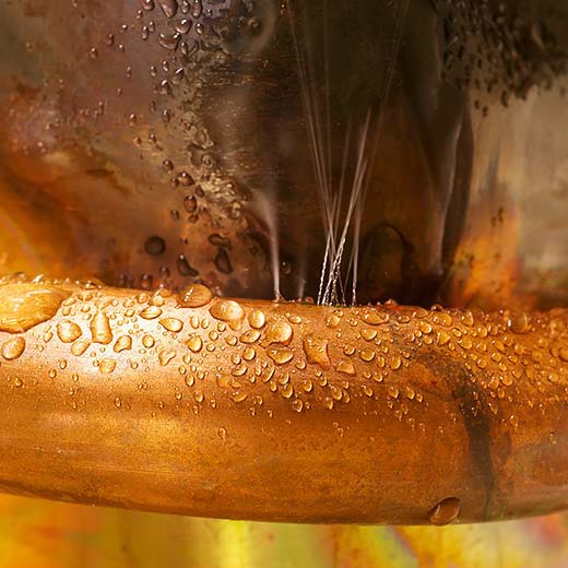 Same Day Clifton Springs Plumbing Service, drains, septic, trenchless.